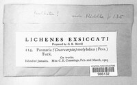 Image Associated With the Occurence